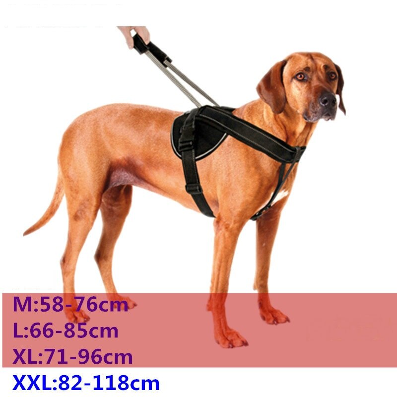 Jecikelon Hundegeschirr & Leinen-Set Aus Denim – Verstellbar, Robust & Bequem Für Kleine Hunde (Größe XS, Rot)
