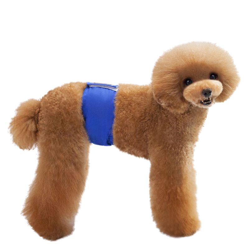 Puppy Pet Male Dog Physiological Pants Sanitary Underwear Belly Band Cotton Diaper Pet Suppliers