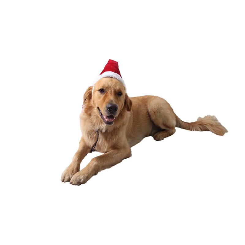 Kerst Huisdier Hoed Kerstmis Kat Hond Ornament Kerstman Hoed Winter Warm Xmas Nieuwjaar Pluche Cap Party Thuis Kerst decoratie