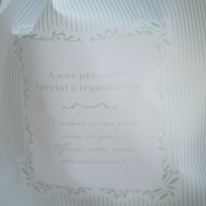 23.5*14.5cm 50pcs light green bag Wrap Storage Plastic Packaging Bags