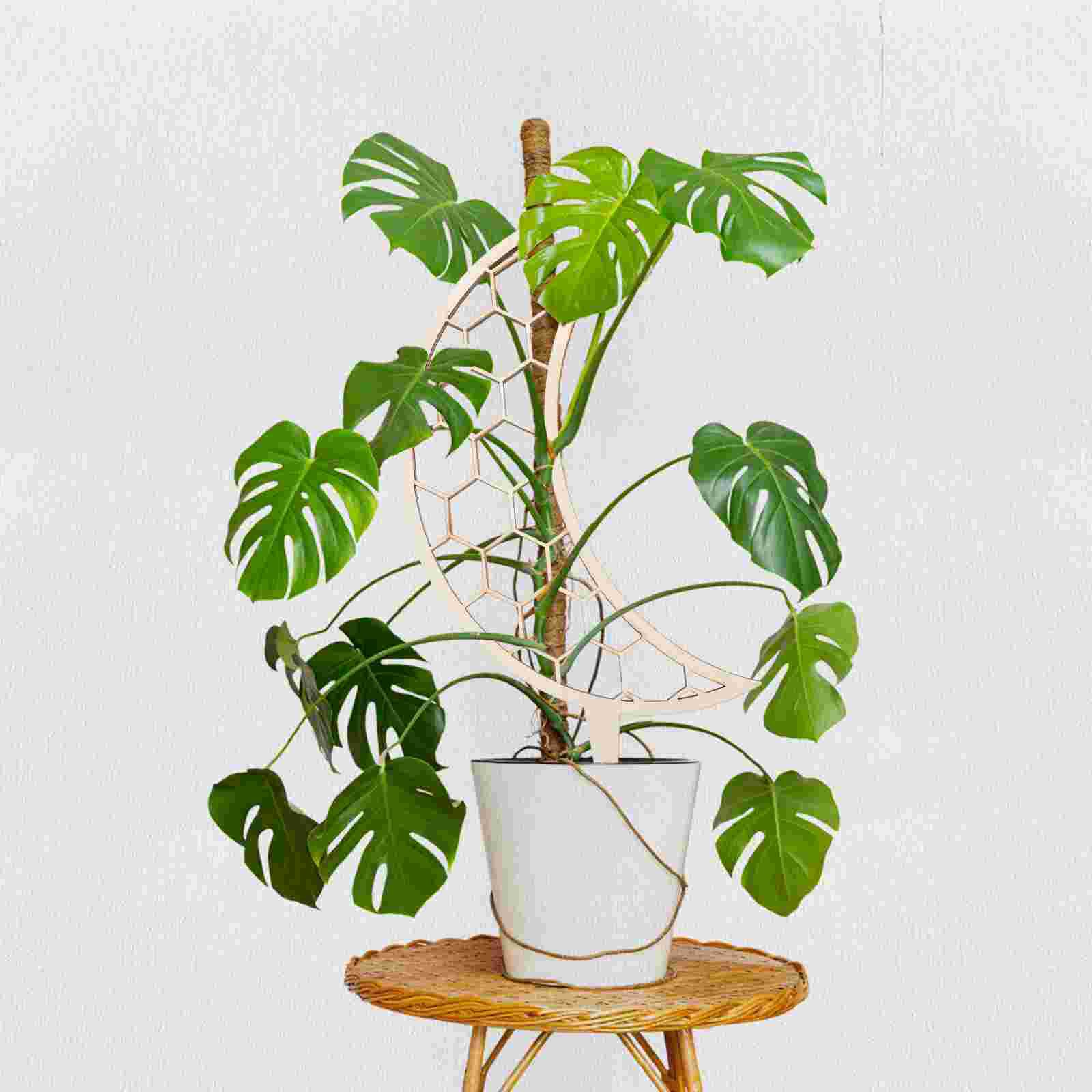 3pcs Plant Wooden Trellis Vine Plant Supports Wooden Plant Support Stakes