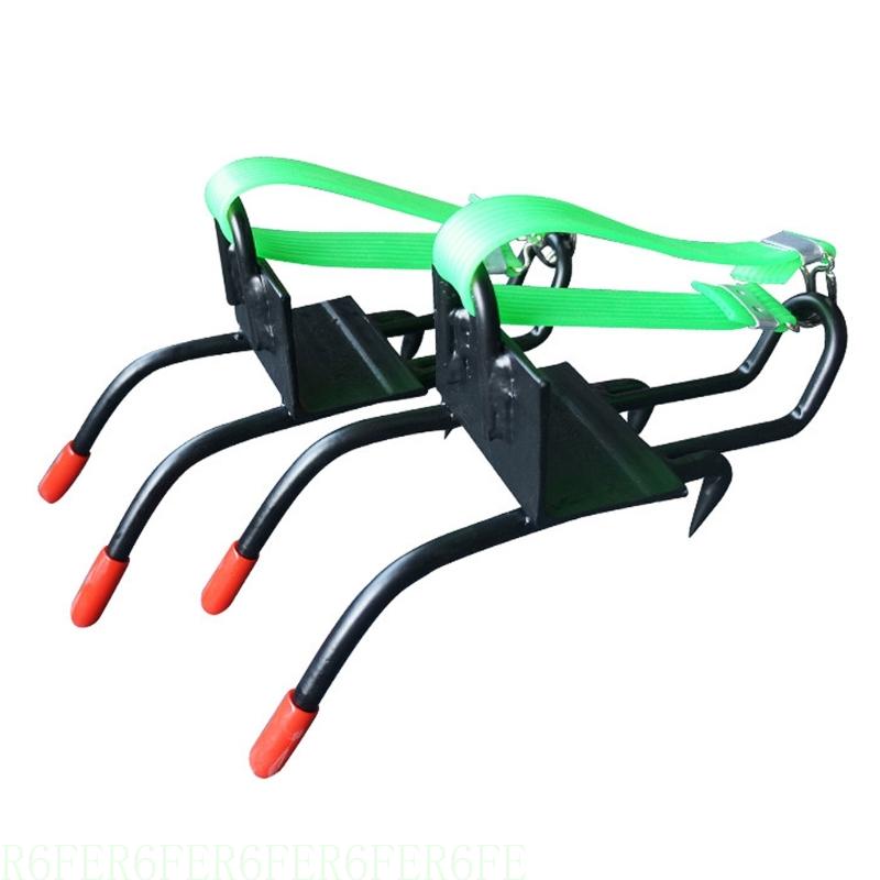 R6FE albero ALTRE tutto'ACCOLA STRUMO STRUMO STRUMO STRUMATO STRUMATIVA STRUMENTI STRUMENTI ALLAMENT POLI CLEACHING POLCI POLI: Argento