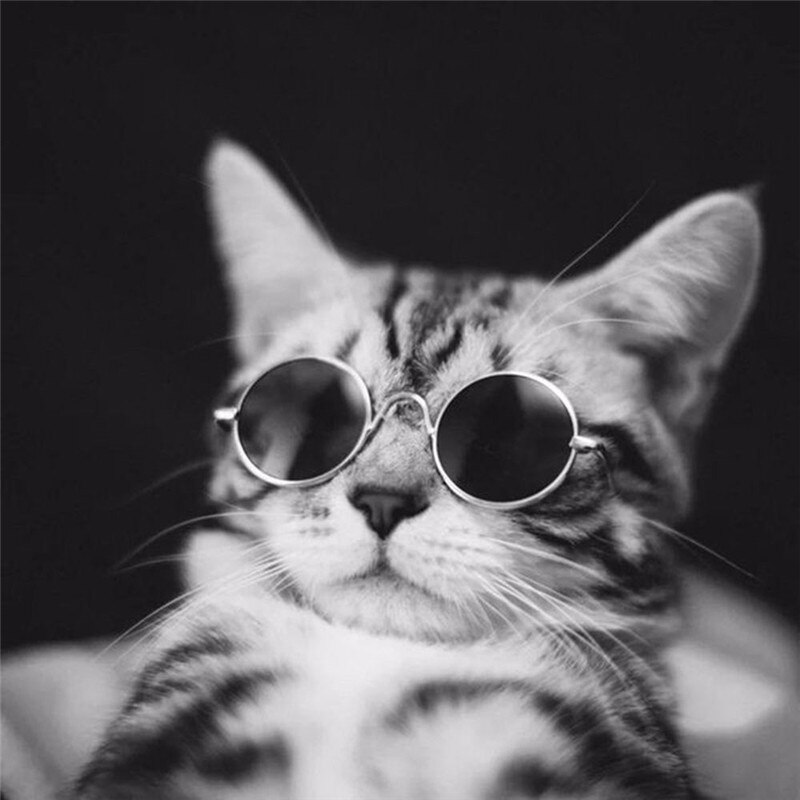 Offre spéciale Cool chat lunettes pour animaux de compagnie pour petit chien chat produits Eye-Wear chien lunettes de soleil pour animaux de compagnie fournitures pour animaux de compagnie Photos accessoires