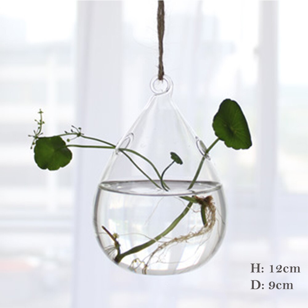 1Pcs Hanging Glass Vase Transparent Hydroponic Container Terrarium Flower Plant Pot Garden Home Wedding Decoration: 13