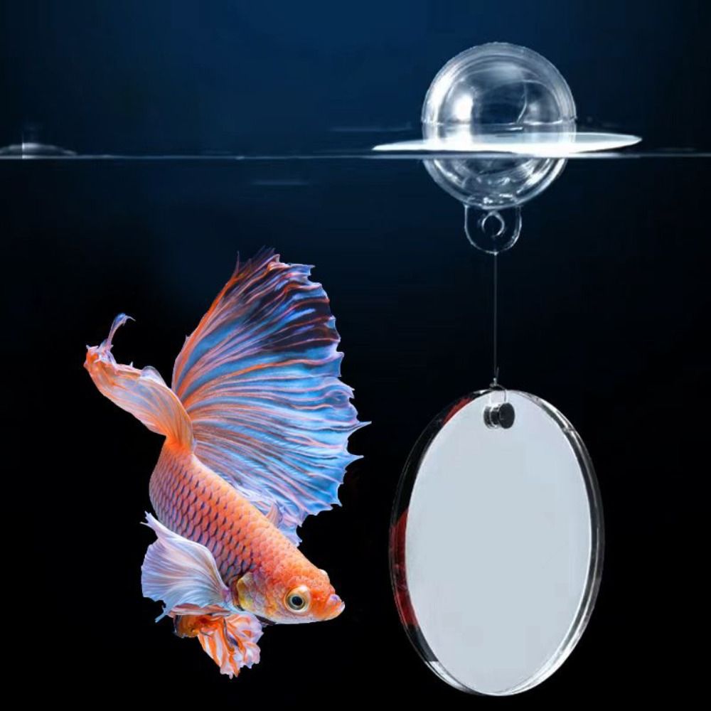 Betta Training Spiegel Vis Tank Decoraties Dubbelzijdige Betta Spiegel Modellen Poppenhuis Plastic Aquarium Fishtank Ornamenten