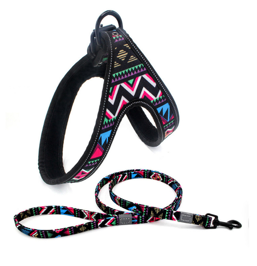 Regenboog Reflecterende Grote Hond Harnas Leiband Set Kleurrijke Veiligheid Comfortabele Zachte Band Vest Walking Leash Voor Medium Grote Honden: Color 2 / L