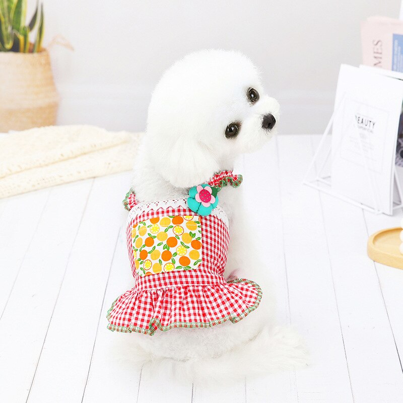 SMALL DOG - Doggy Boho Skirt main image 0