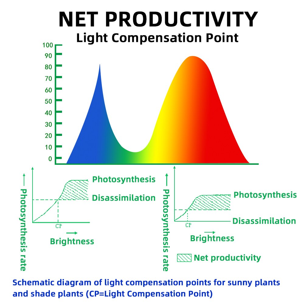 Full Spectrum Hydroponic COB Growth Light High Luminous Efficiency LED Grow Light For Greenhouse Vegetables Succulent