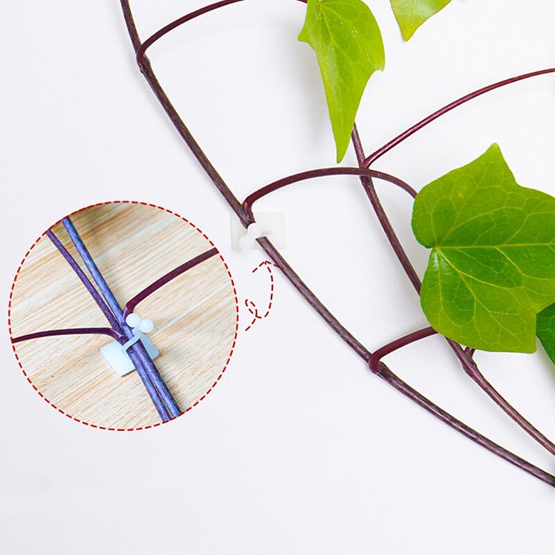 10/1 Pcs Invisible Wall Vines Fixture Plant Climbing Wall Clip Sticky Hook Fixing Clip Holder for Home HG99