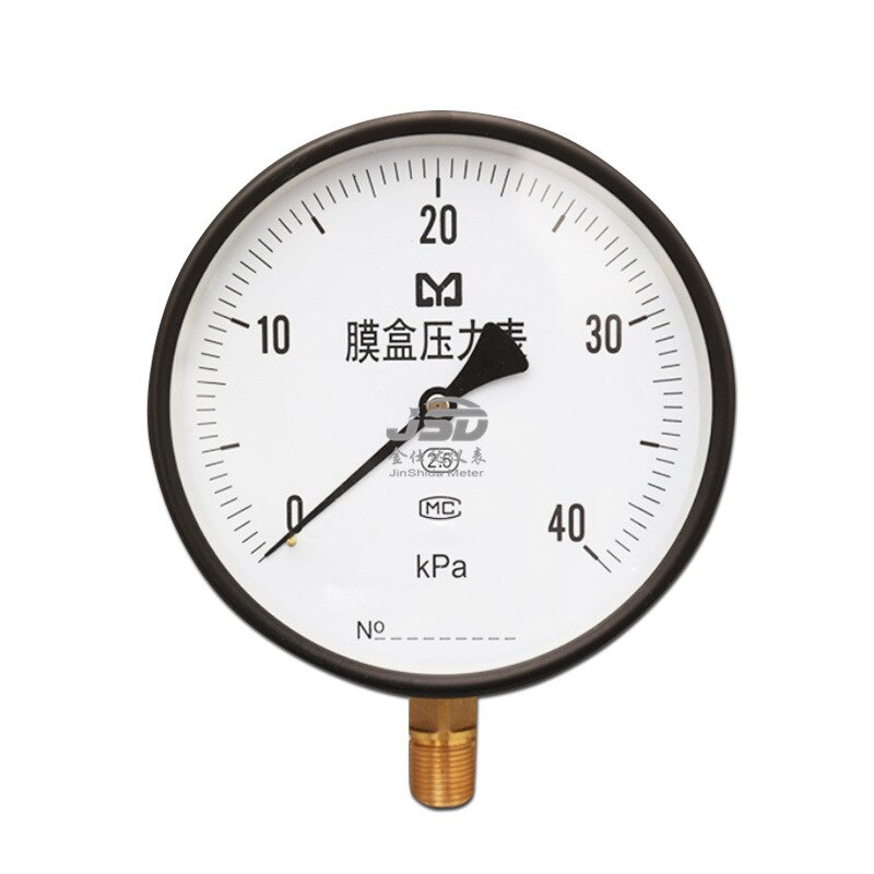 Stainless steel diaphragm pressure gauge YE100BF Axial stainless steel diaphragm pressure gauge diaphragm pressure gauge