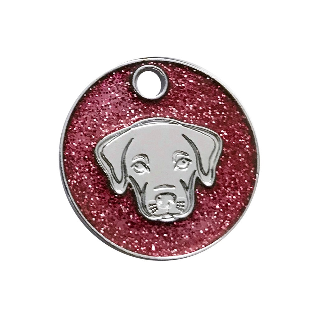 Transer – collier rond pour chien et chat, étiquette d'identification, bijou, pendentif, accessoires de toilettage, 90423: RD