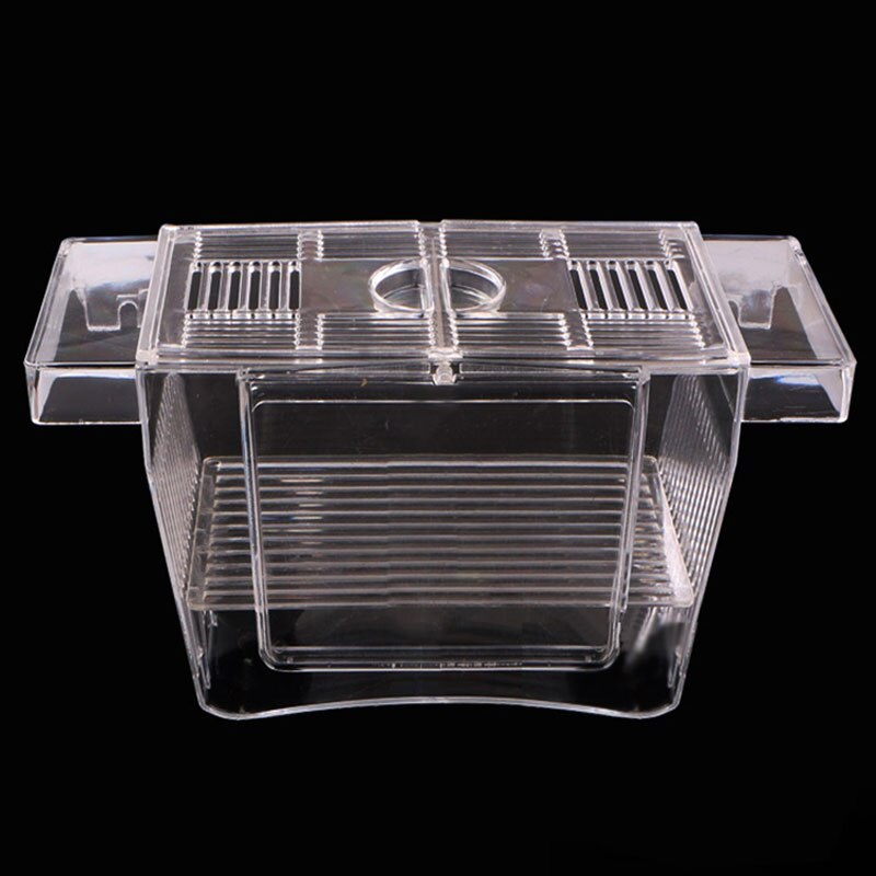 Joli Aquarium à la , réservoir de poissons Guppy, Double élevage, piège, boîte d'élevage, couveuse DNJ998