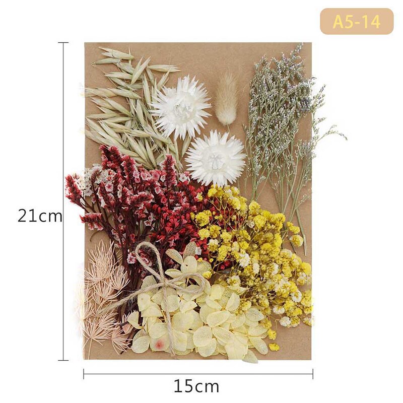 Fleur pressée mélangé fleurs séchées matériel pour bricolage aromathérapie bougies carte de voeux époxy artisanat boucles d'oreilles FAS6: Pièces de rouge