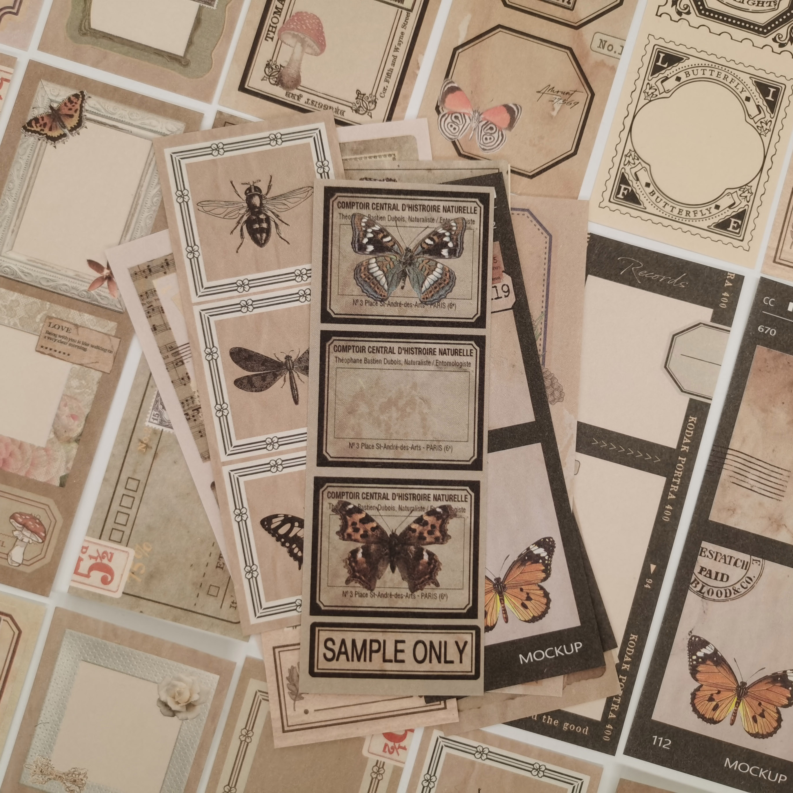 50pcs Vintage Butterfly Writing paper Cards Memo Pads insect Labels Junk Journal Scrapbooking Stickers Office School stationery