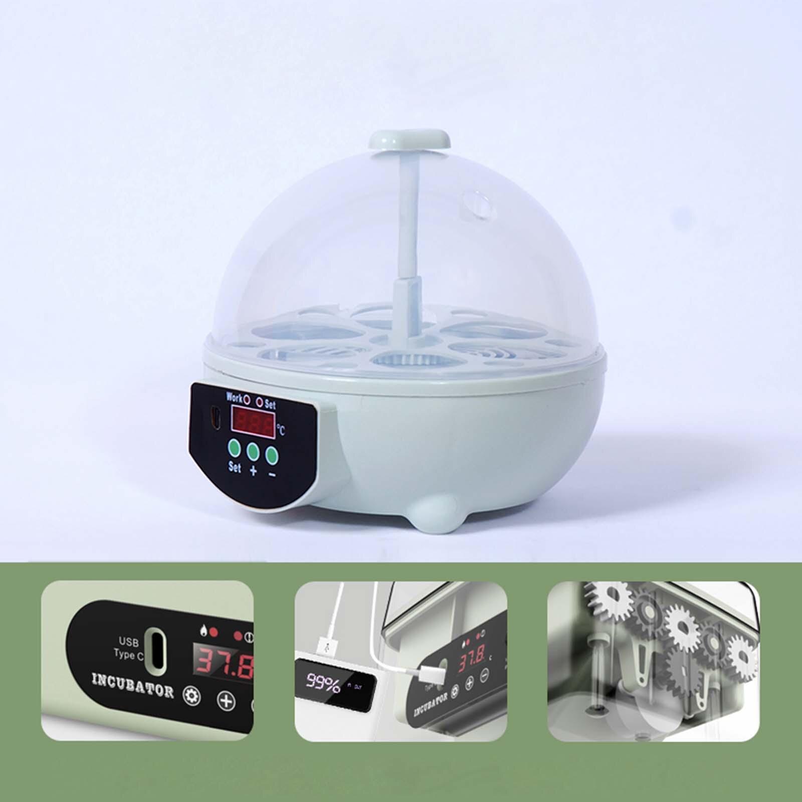 Mini incubadora Digital de 6 huevos para aves de corral, Control de temperatura, Candler de huevos para aves, Ganso, pollo, pato, codorniz, suministros