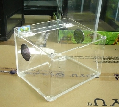 Boîte en acrylique Y001 grimpe à l'animal, boîte amphibie, boîte pour animaux de compagnie