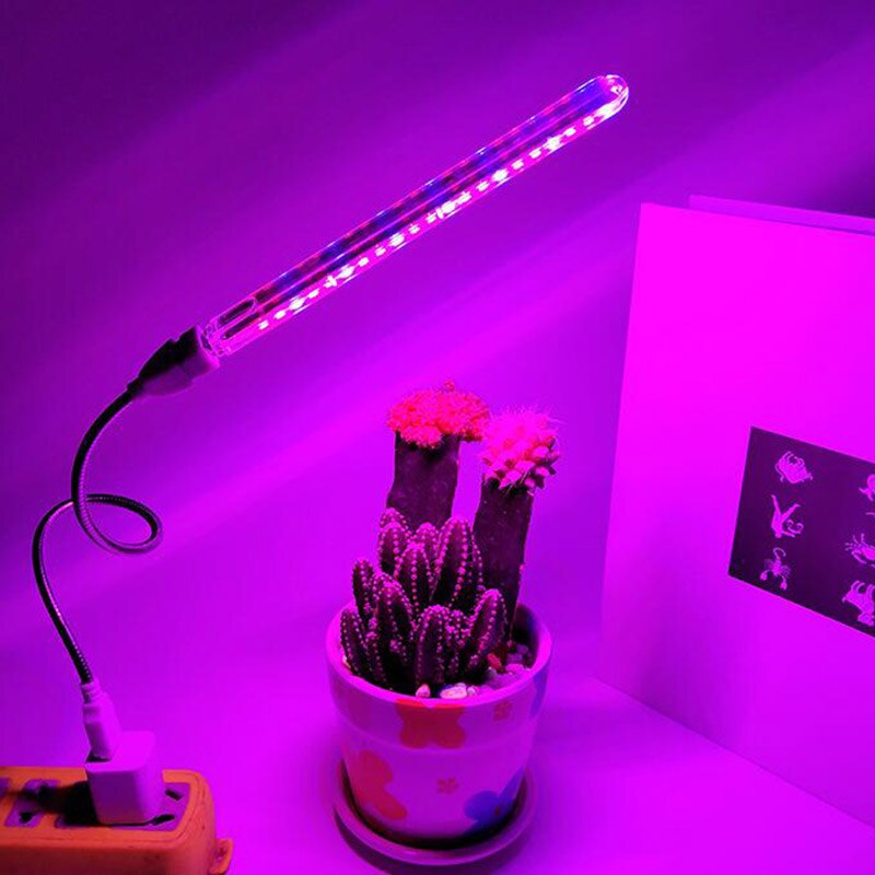 21 Led Plant Groeien Licht 5V Usb Mini Bloem Groeilicht Bureau Rood Blauw Dc 5V Indoor Phyto lamp Voor Ingemaakte Succulent Aquarium