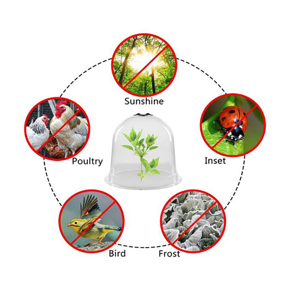 Breathable Cloche Dome Protector Cover Ventilation Plant Supplies Translucent ABS Reusable Plastic Seedling Maintenance Tools