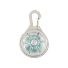 Dog Tag Huisdier Led Licht Hanger Night Flash Dierbenodigdheden Ketting Maatwerk Brilhante Para Caminhada Ao Ar Livre: Colorful