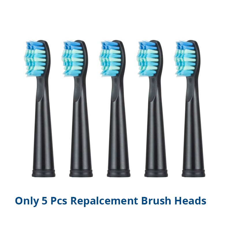 Adulto sônico escova de dentes elétrica seago SG-507 recarregável 5 modos profunda oral limpo macio dupont cerdas cabeças escova: 5blackheads