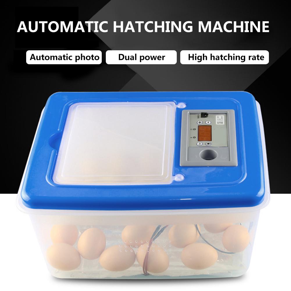 30-34pcs Eggs Automatic Egg Incubator Temperature Control Highly Transparent Egg Breeding Device For Home Use