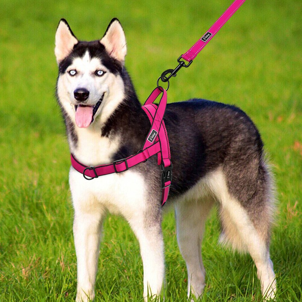 Nylon Verstelbare Ademend Harnassen Leads Sets voor Kleine Medium Grote Honden Husky