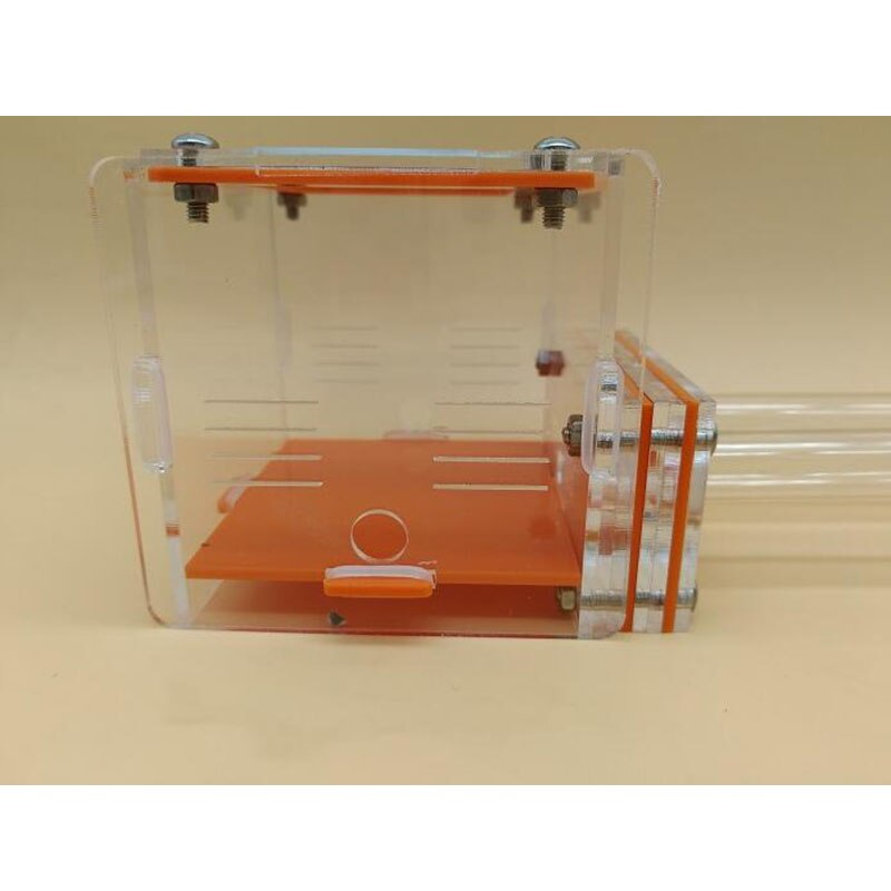 Groene dubbele reageerbuis mierennest acryl mierenboerderij acryl insecten terrarium