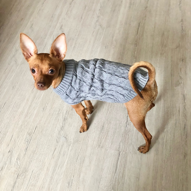 Gebreide kleding voor honden Chihuahua trui voor kleine honden Winterkleding voor Sphinx Kat Hondentrui voor York Warme hondenkleding
