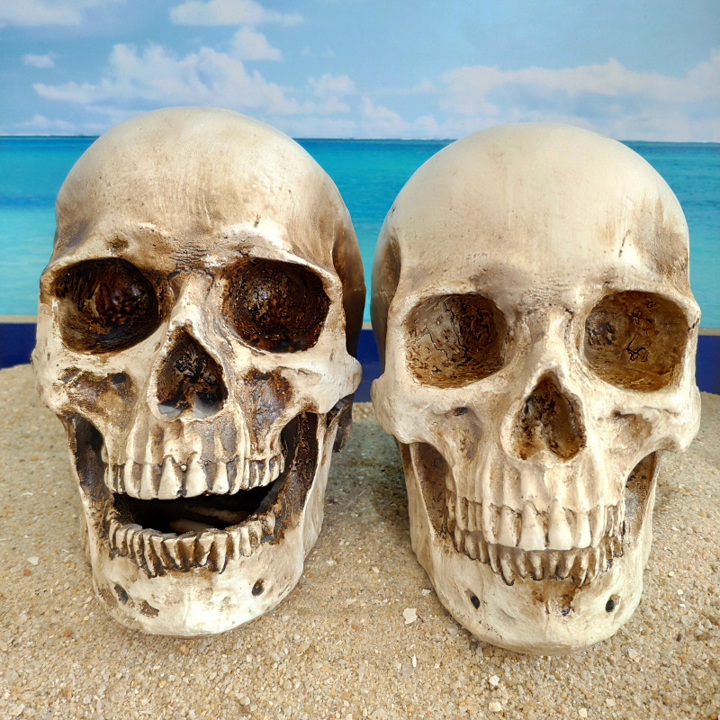 Schedel schedel schedel simulatie 1:1 resin menselijke schedel model Halloween medische onderwijs