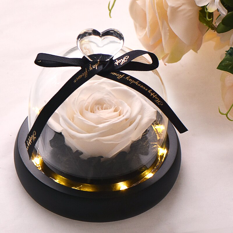 AINYROSE fleur de Rose artificielle en dôme de verre avec lumière LED boîte lampe de nuit Rose éternelle d'anniversaire de mariage pour fille: White Rose with Ligh