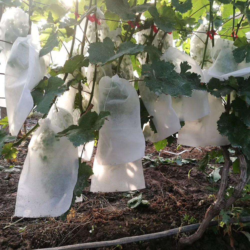 100Stck Trauben Schutz Taschen, Obst Schutz Garten Obst Blume Schutz Tasche Zu Verhindern Wespen, VöGel, kirsche Essig Fliege