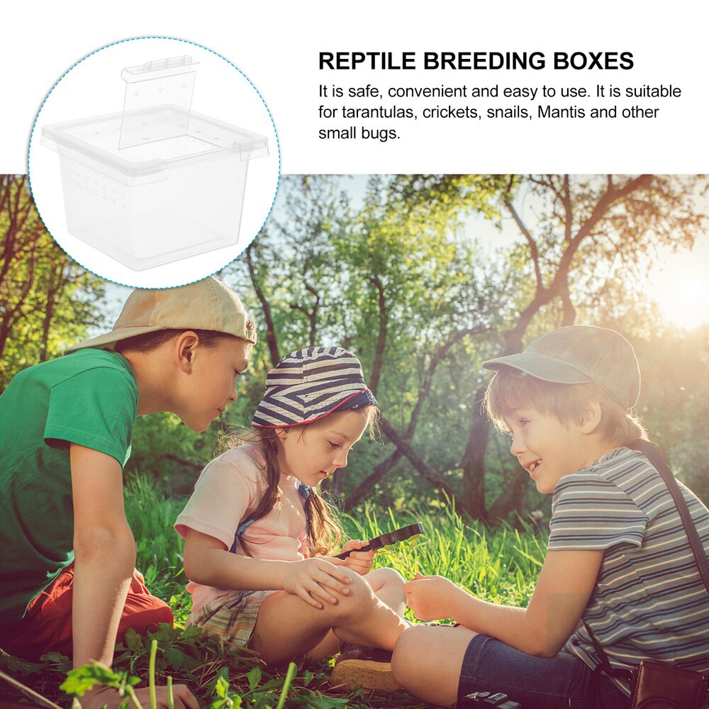 100Pcs Transparent Lizard Spider Snake Insect Cages Container