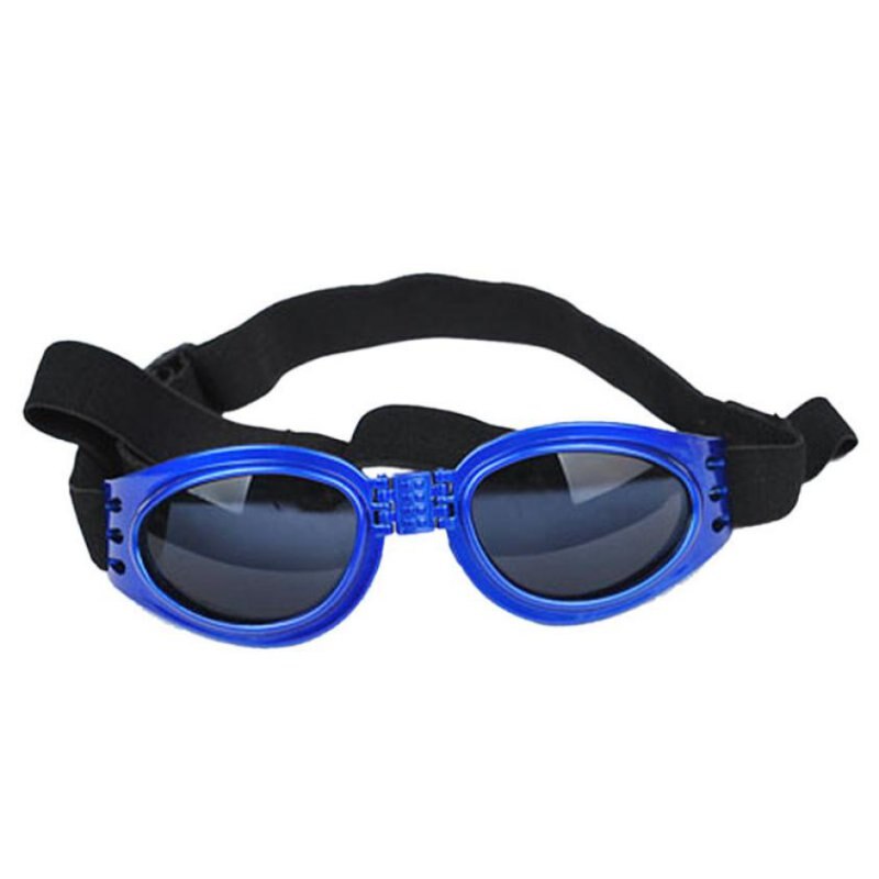 Lunettes de Protection pour chiens | Lunettes de soleil pour chiens, pliables et attrayantes, lunettes pour chiens, lunettes de Protection imperméables pour chiens, lunettes UV: BE