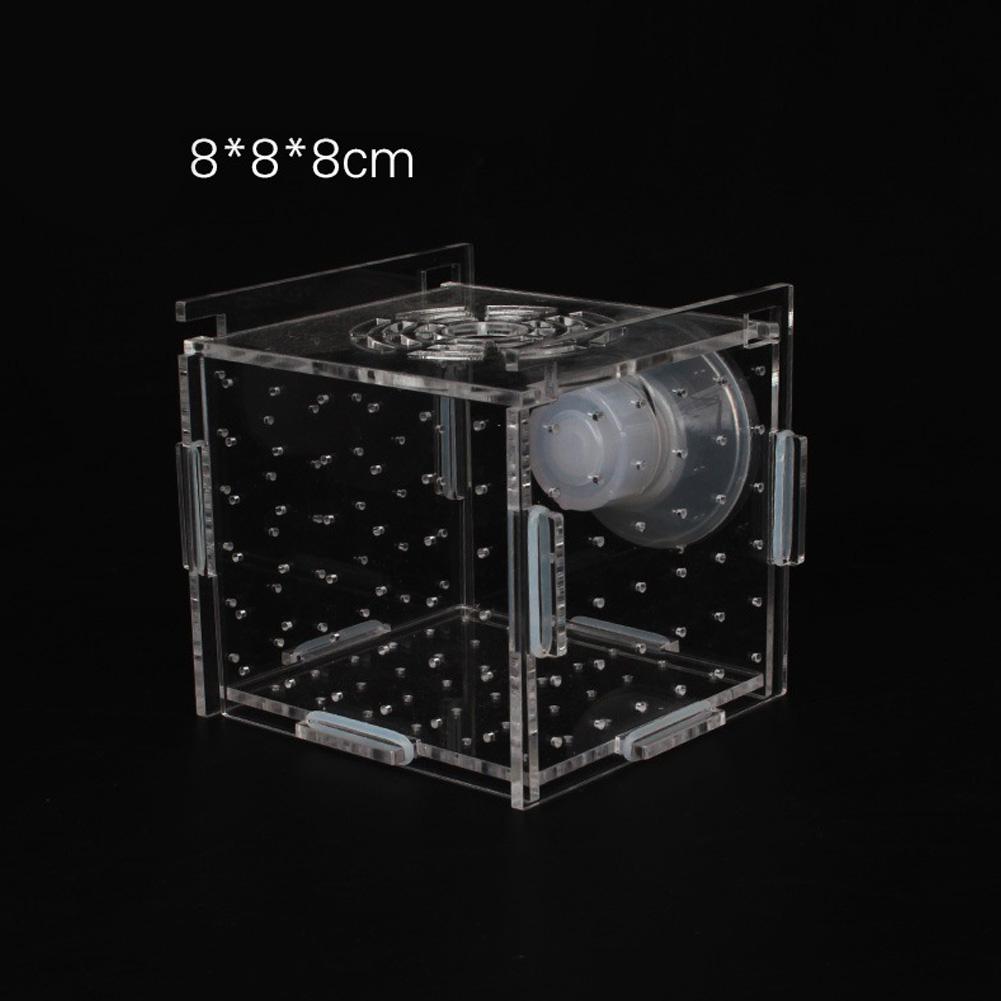 Single Grid Breeding Box Incubator Isolation Hairtail Nursery House Aquarium Accessories