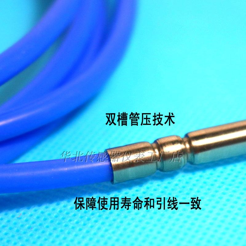 PT100 high sensitivity temperature sensor platinum thermal resistance puncture needle tip probe grinding tip
