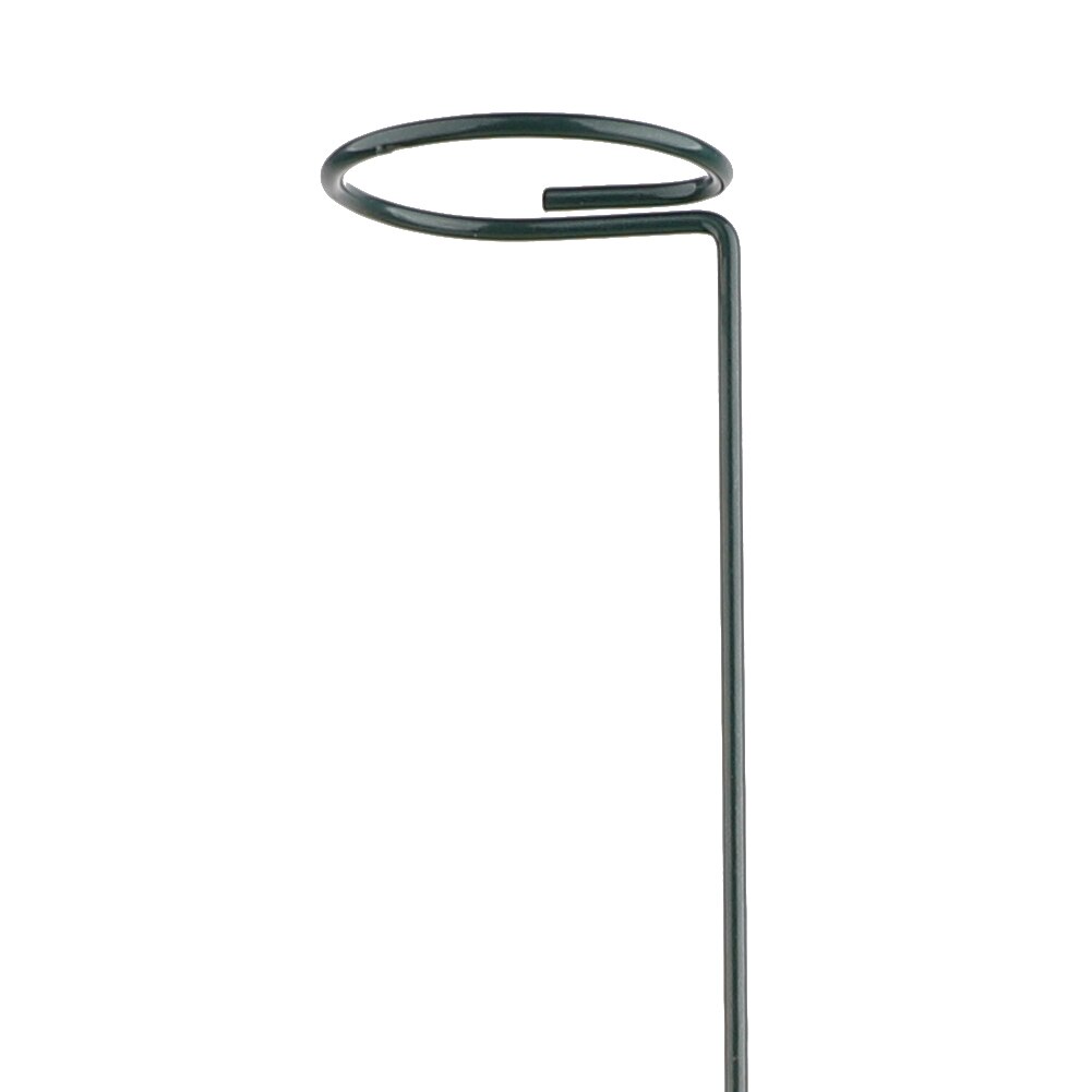 Plant Support Stakes Single Stem Plant Support Ring for Plant Support for Amaryllis Tomatoes Orchid Lily Peony Rose Flower Stem