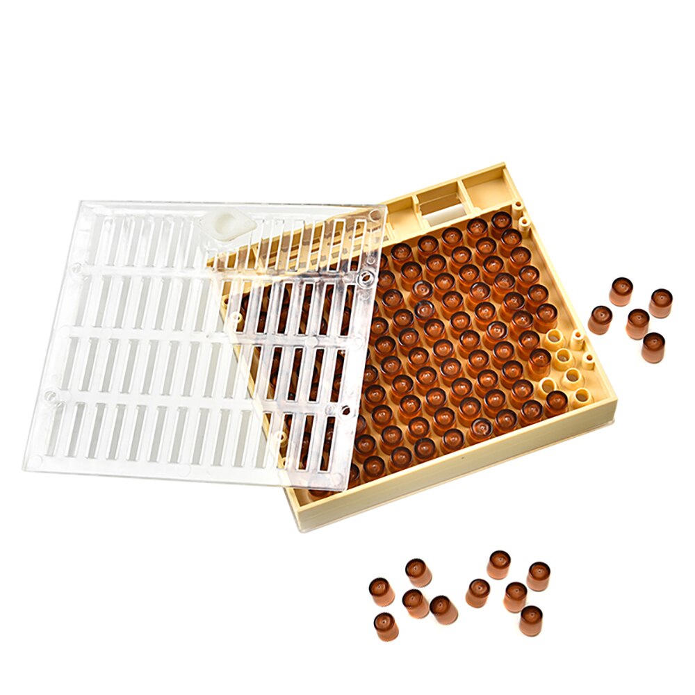 1set bee tools kit queen rearing system complete cupkit box cells protective cover plastic bees equipment cages supplies