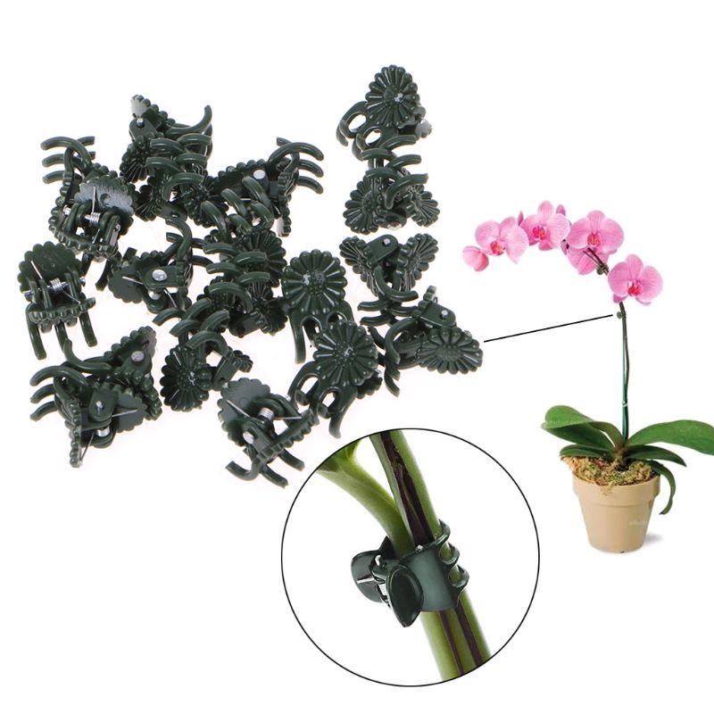 20 Pcs Plastic Plant Fix Clips Orchid Stem Vine Support Vegetables Farm Flowers Fruit Tied Bundle Branch Clamping Gardening