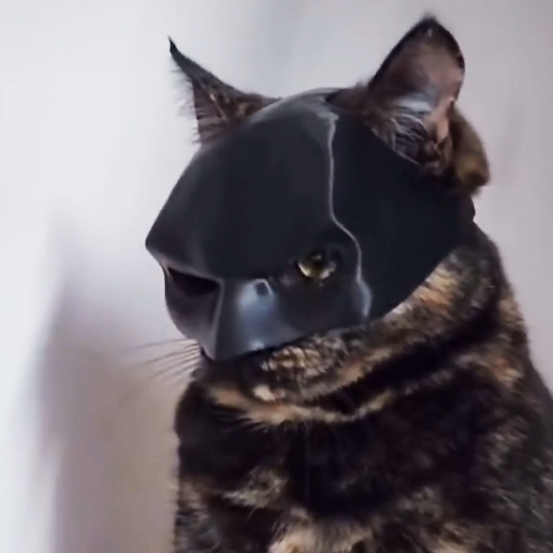 TONG Cat Bat Cool Man Mask Cat Avenger Mask Matte Cute Bat Mask Juguetes de superhéroe Cat Bat Pet