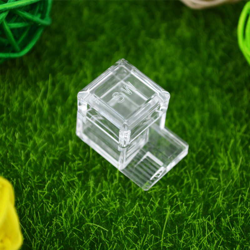 Water Storage For Ants & Insects Water Feeding Water Container