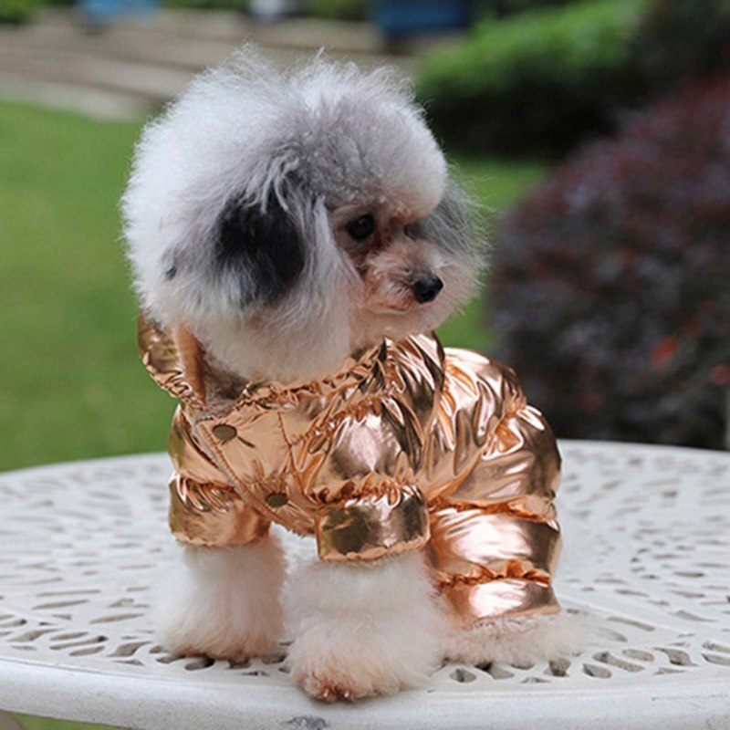 Veste de chien Costume D'hiver Bouledogue Français Vêtements Pour Animaux De Compagnie Imperméable Coton Rembourré Tenue Chaude Manteau Épaississement Doudoune: gold / XXL