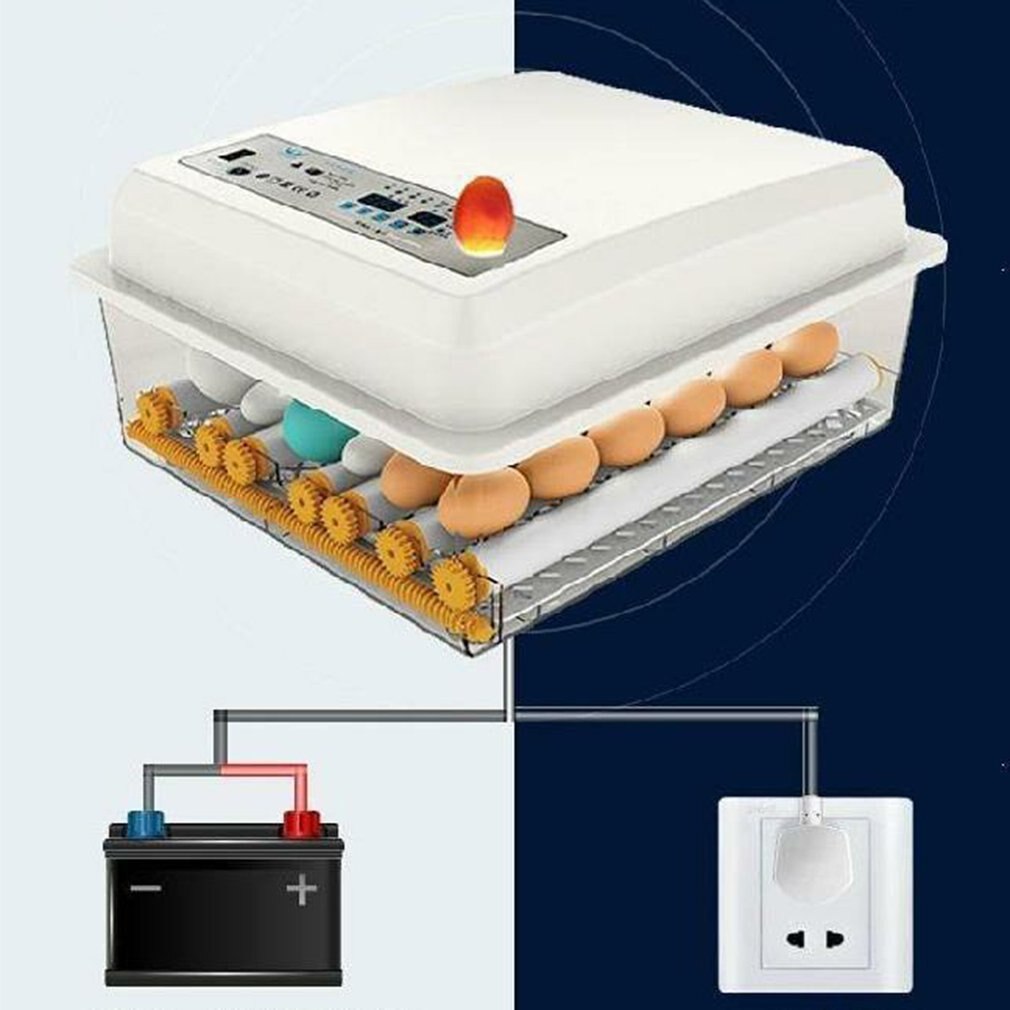 220V oeufs incubateur couveuse oiseau caille poussin écloserie incubateur volaille couveuse tourneur automatique ferme incubateur outils