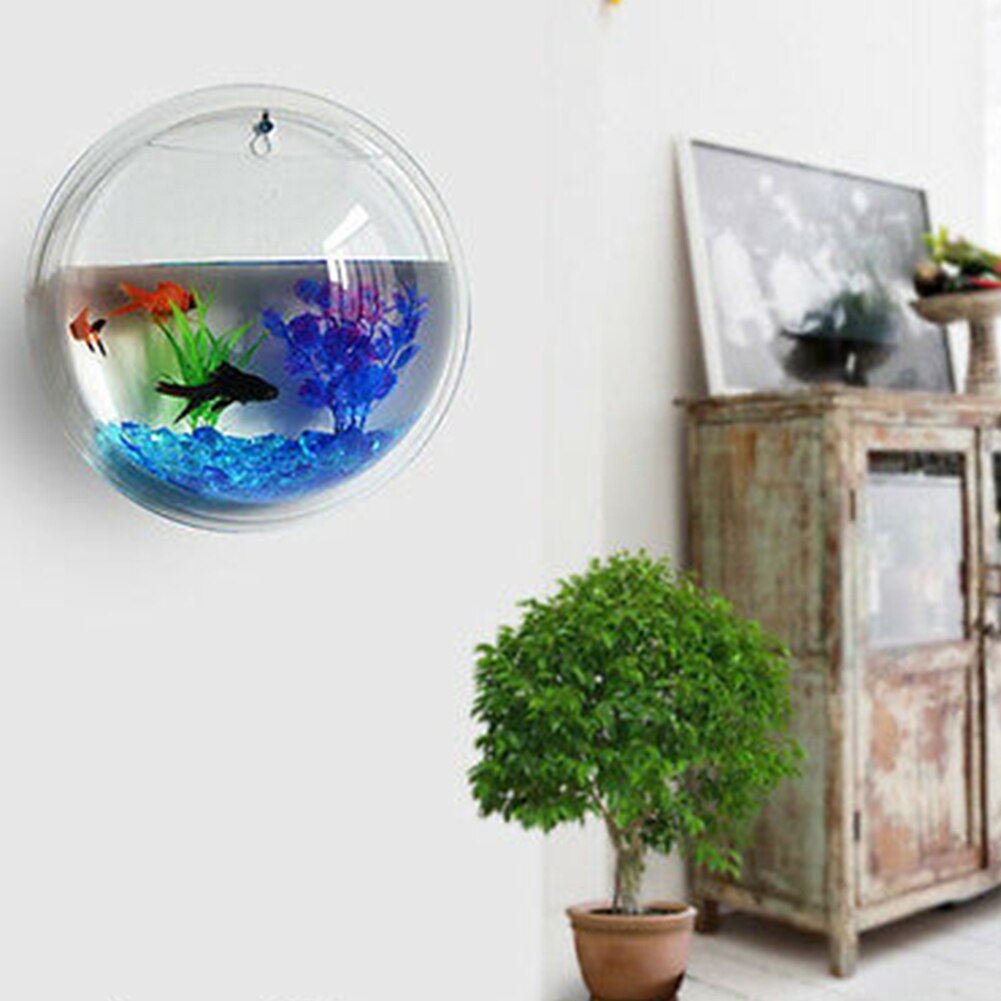 Aquarium mural en acrylique | Suspendu, fleur, Vase rond, Pot de plantes suspendu, décoration aquaticanimale domestique, fournitures pour animaux