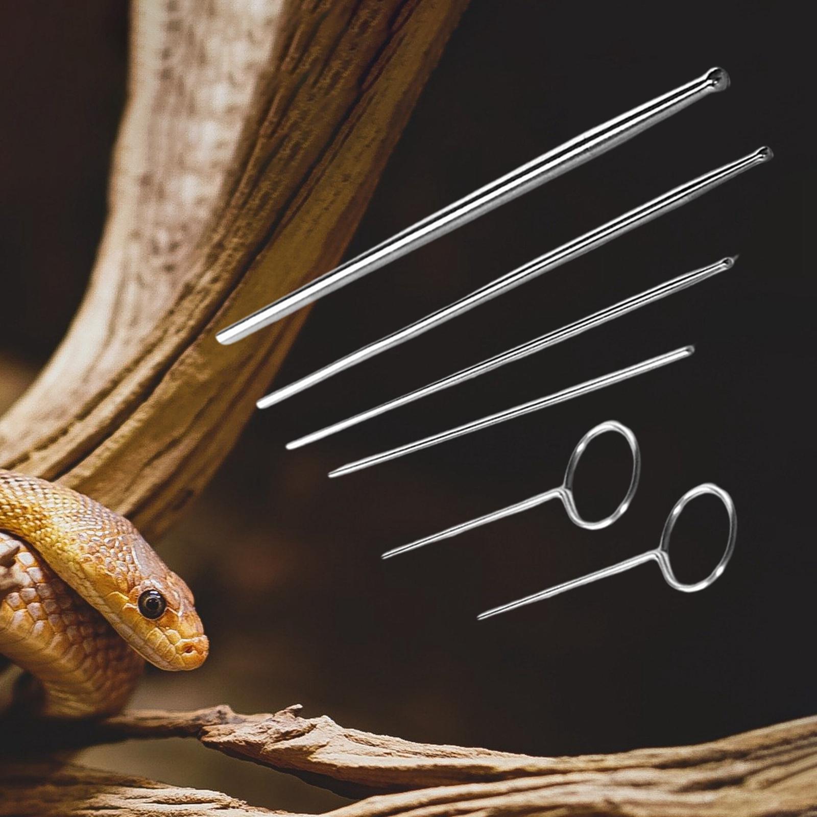 Pack-6 Snake Gender Detector Kit Different Size with Case High Performance Durable Simple Operation Premium Compact