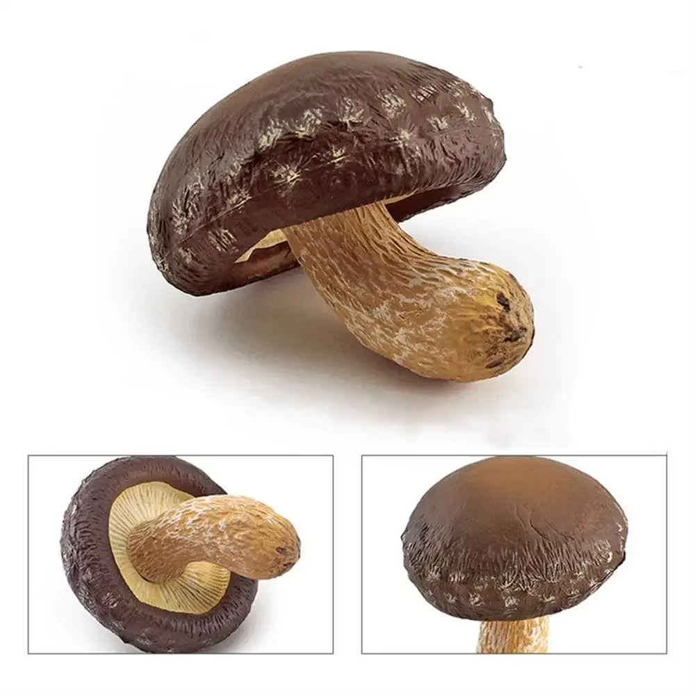 Modelo de vegetais estatuetas de fungos matsutake oyste simulação artificial cogumelo pleurotus planta modelo de fungo decoração de jardim: Cinza claro