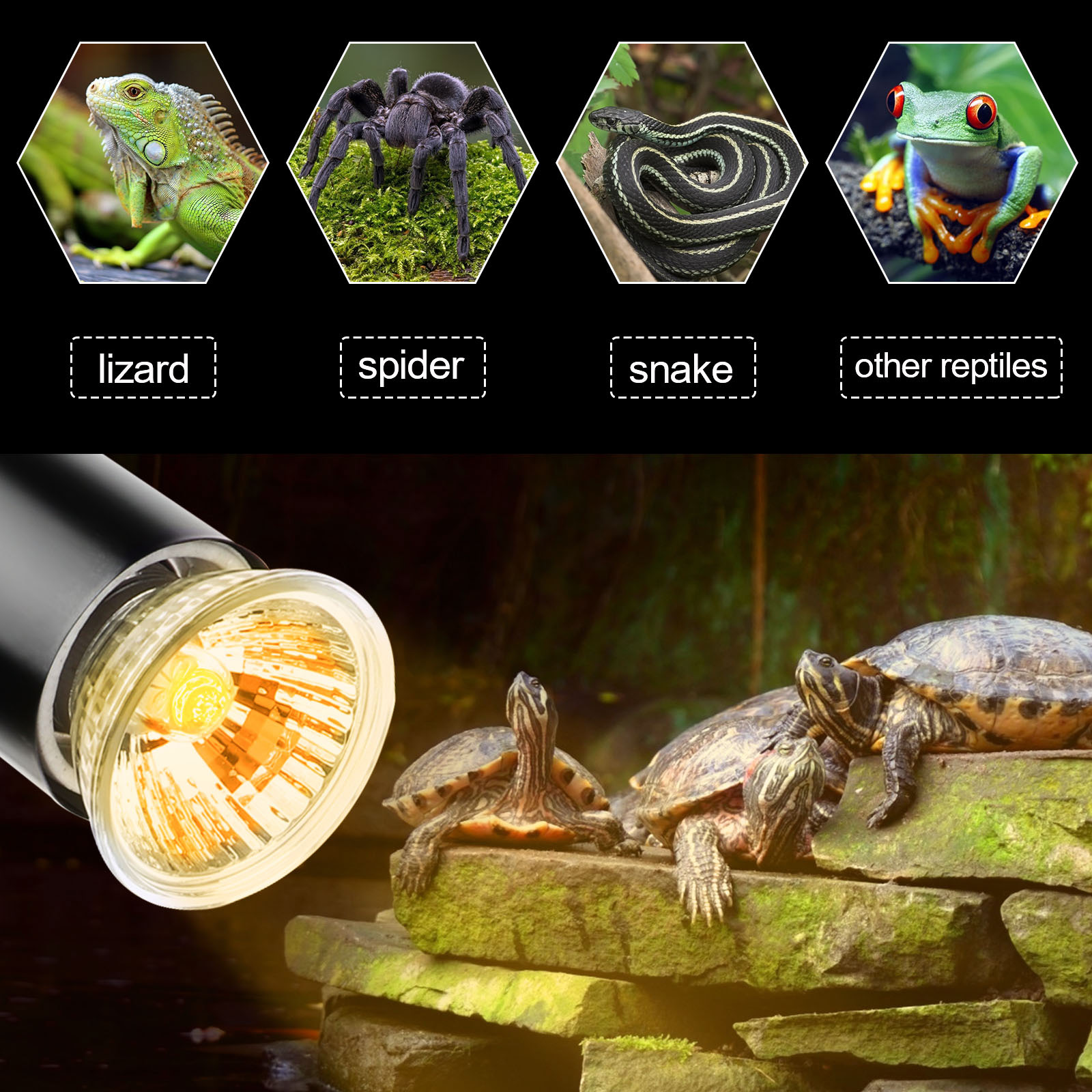 75W 6 Pack Uva + Uvb Volledige Spectrum Zon Lamp Sunbathe Warmte Lamp/Lamp/Licht Voor Fo