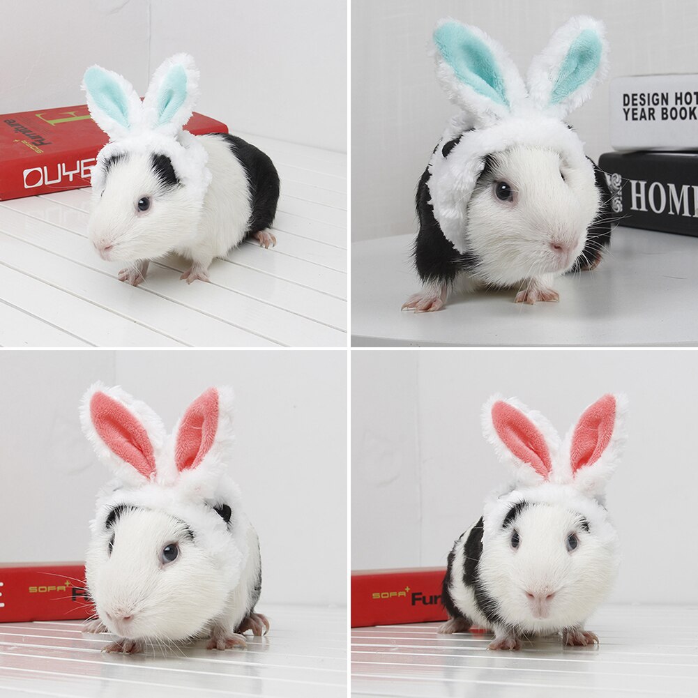 niedlich Haustier Katze Guinea Schwein Chinchilla Hut mit Ohren Hamster Kostüm Ohren klein Haustier Kopfbedeckung dekorativ Hut