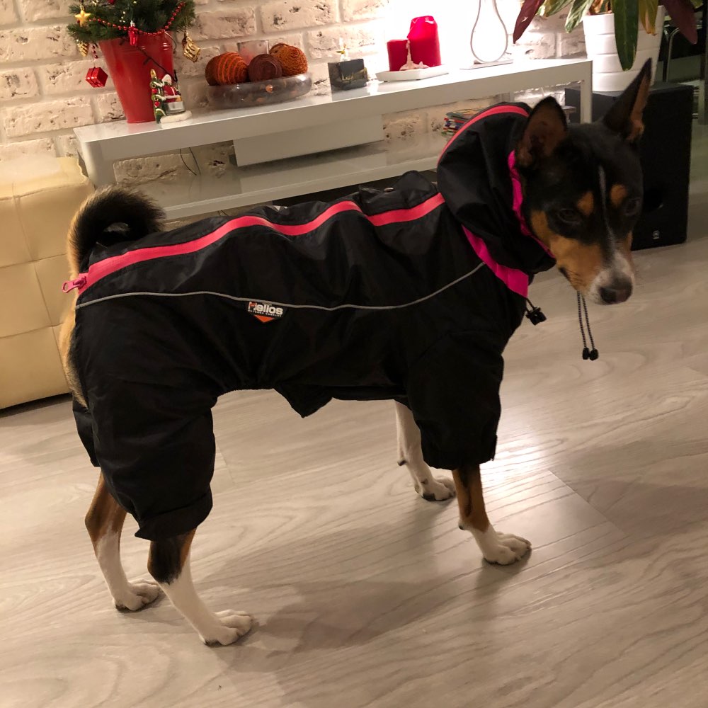 Hund vintertøj varme hundefrakker vindtæt hundejakke 3m reflekterende doggy firbenede hættetrøjer vandtæt kæledyrstøj