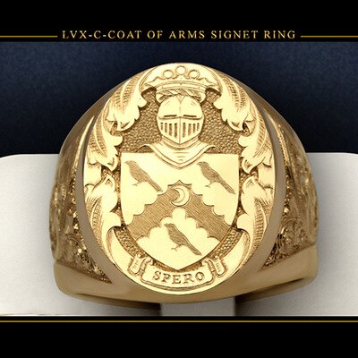 NPKDS Males Luxury 18K Yellow Gold Color Ring Crown Lion Sculpture Coin Finger Ring Punk Biker Rings for Men Rock Jewelry: 10 / F04000609