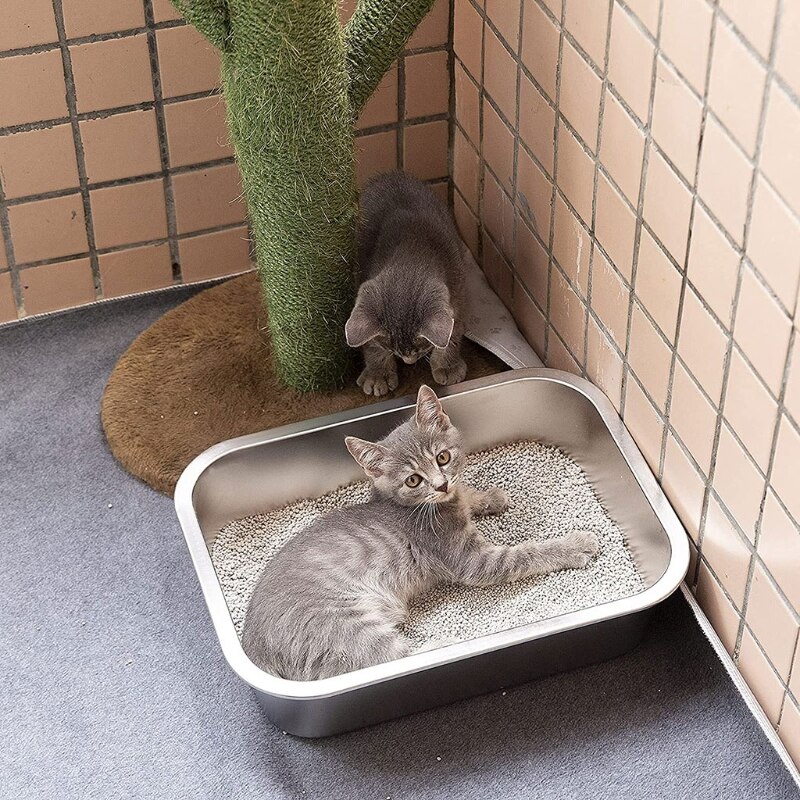 Rvs Kattenbak Voor Kat En Kitten Te Reinigen Voor Kat En Konijn